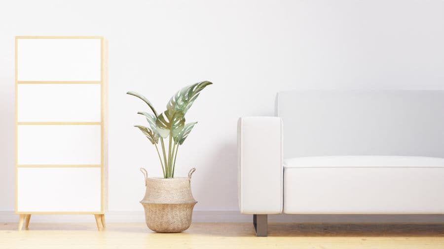 Minimalist living room interior